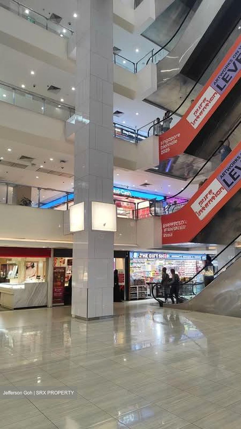 Lucky Plaza (D9), Shop House #592348121